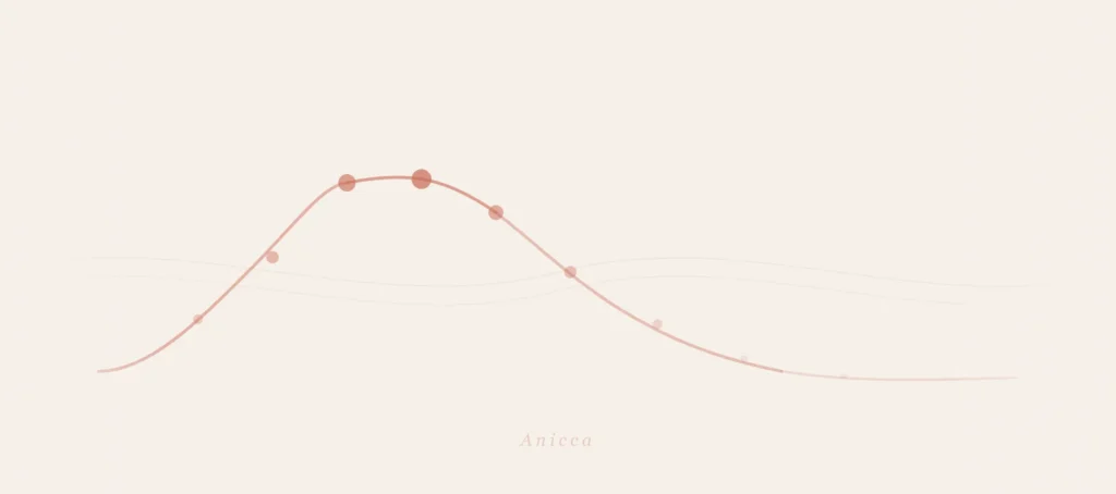 Understanding Impermanence (Anicca)